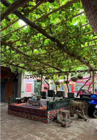 台灣人看大陸》吐魯番見聞：葡萄溝裡垂珠串，坎兒井中渡暗川