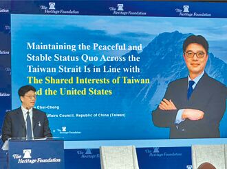 新极权主义大帽子