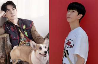 于朦胧离世留2爱犬 女星「昔收养周海媚黄金猎犬」霸气发声