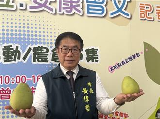 雲林縣長喊「台南沒文旦」 黃偉哲冷回：不想掀戰