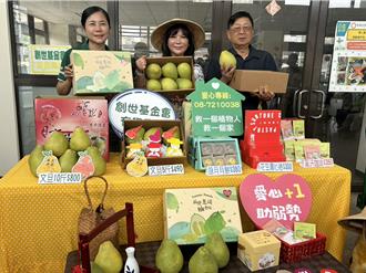 创世屏东院文旦义卖少5成！亏损不断增加 业者认购助阵