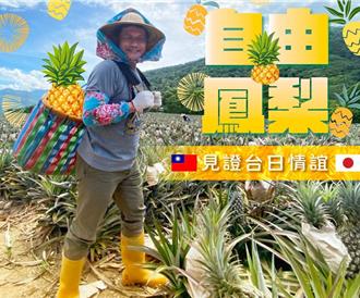 日本成台灣鳳梨最大買家  林佳龍：展現真誠友誼