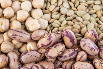 專家點名這「5種豆類」可降6％死亡風險！ 