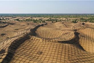 綠進沙退！內蒙庫布其治沙模式從死亡之海走向綠色奇蹟