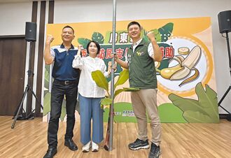 屏縣府加碼補助香蕉防風支柱