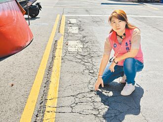鳳山路面坑洞害受傷 議員促改善