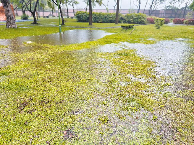 新北市鶯歌區鳳鳴公園設備老舊，又有大片設施因少人使用而荒廢，又因排水系統不完善常出現積淹水。（新北市議員蘇泓欽提供／柯毓庭新北傳真）