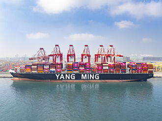 造1.6萬TEU級船 陽明搶利基市場
