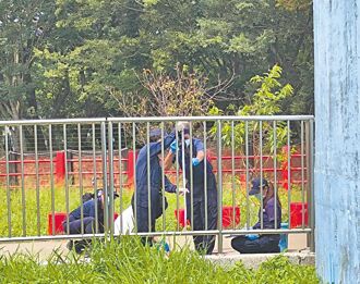 姐弟戀變調 17歲少年31刀砍死女大生