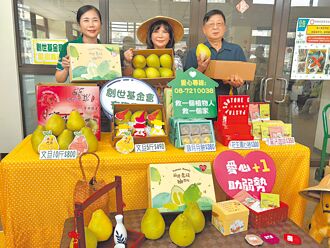 屏东 创世文旦义卖减5成 建商认购