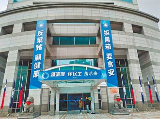 國民黨需要怎樣的黨主席