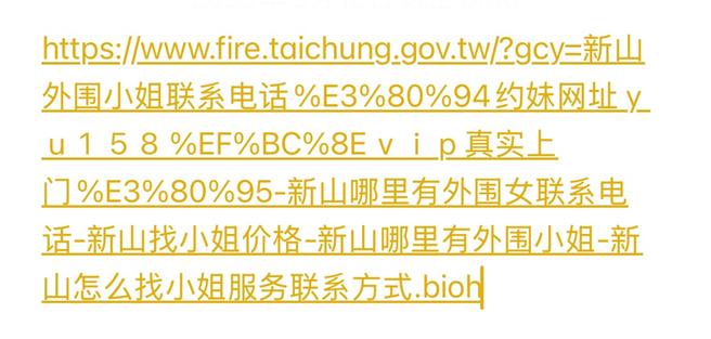 台中市议员江肇国16日指出，消防局即时灾情网页网址竟出现不雅字眼，疑遭骇客入侵窜改。（江肇国提供）