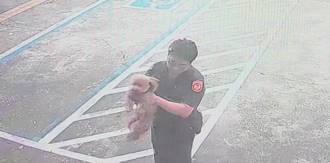 紅貴賓蹺家逛大街迷航 超聰明！直衝派出所求助