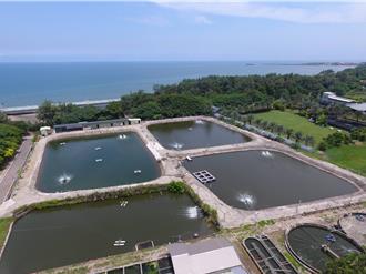 桃园首办「鱼米海客蜂一夏」成果展 五感食农体验周六登场