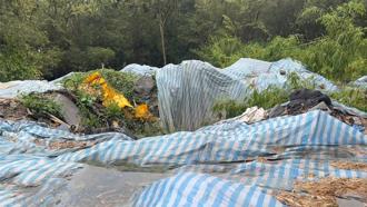 廢清法加重非法棄置刑責納光電板 最快10月送立法院審議