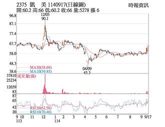 熱門股－凱美 漲停委買單量高掛
