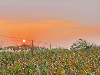 诗人在盐乡种田