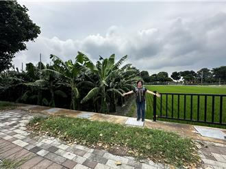 74公尺人行道鋁合金護欄失竊 莿桐鄉長盼能找回贓物