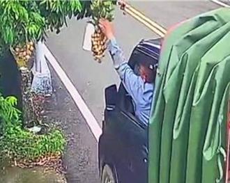 台南龙眼产量剩3成！游客当「得来速」偷摘　警循线逮人