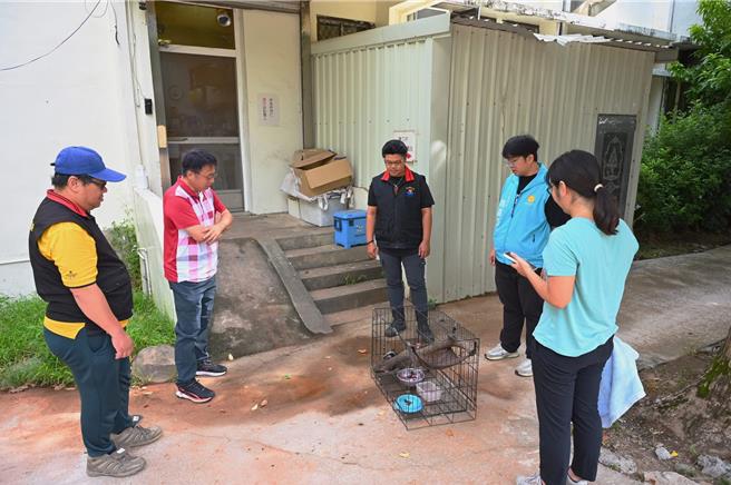 花蓮市長魏嘉彥到動植物防疫所關心白鼻心幼獸照顧狀況。（魏嘉彥提供／王志偉花蓮傳真）