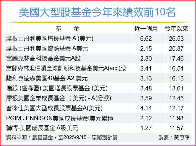 美國大型股基金今年來績效前10名