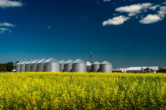 大陸棄加拿大！9船油菜籽肥單跑到「這國」