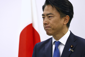 去年挨刮智商低 小泉再度問鼎日相遭嗆：你是詐欺師？