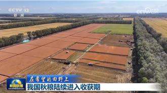 水果出口亮眼！大陆蜜柚、葡萄跨海登纽西兰与全球市场