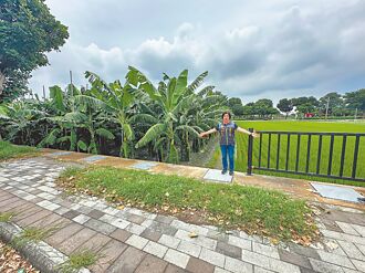 雲林 莿桐74公尺護欄遭竊 損失60萬