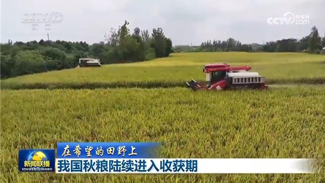 陸秋糧豐收水果出海凸顯經濟韌性活力。（大陸央視）