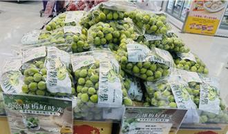 獨家》高雄青梅大豐收！產量暴增5成全國第一