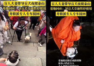視障夫妻淋雨夜爬泰山 導盲犬不從竟遭「杖罰」引眾怒