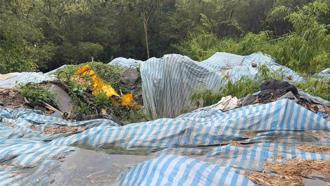 邱议莹喊「限3天清理马头山」？蓝委曝照片：没任何动静