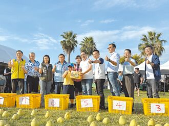 新北文旦柚展售会 祭出加倍券