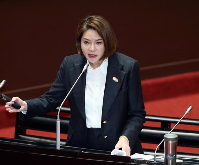 國民黨立委陳菁徽。（本報資料照片）