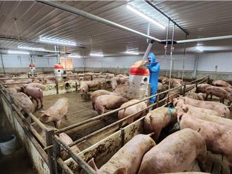 猪价何时降？养猪协会曝：预估中秋后调降