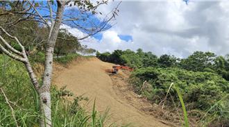 櫻花大道變光禿禿！宜蘭燈篙林道遭怪手剷平 縣府介入調查