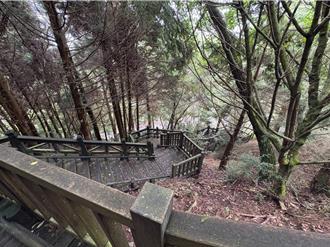 雪霸云雾步道封闭整修！游客改走大鹿林道通行