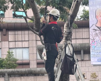 板橋人崩潰！耶誕城9月就動工 在地人喊：噩夢來了