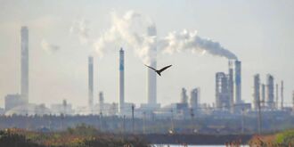 多重利多 塑化族群营运添转机