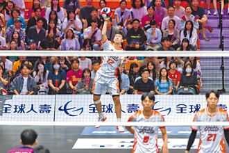 TPVL》元年熱身賽落幕 伊斯特遭巨熊橫掃