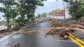 樺加沙解除陸警 小琉球公路被漂流木塞爆