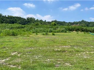 大樹和山光電案7人遭起訴 高市府挨批「輕罰放水」說話了