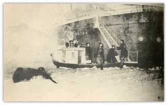 楊渡專欄》兩個歷史時刻 印證台灣主權真相