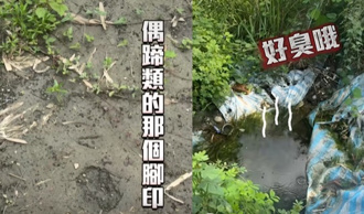 90秒看懂马头山铝渣风暴  蓝委揭「梅花鹿栖地」恐遭渗水污染