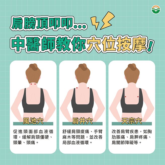 中醫教授傳授緩解肩頸痠痛穴位按摩。（馬光中醫提供／鄭郁蓁台北傳真）