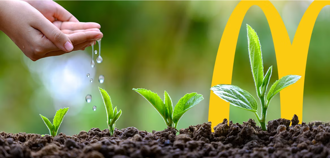 麦当劳携手政府投资2亿美元 打造再生农业