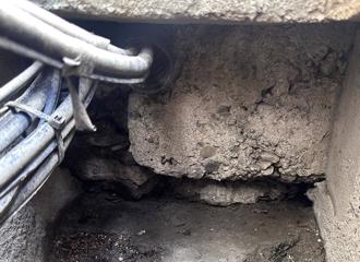 高雄鳳山排水溝遭瀝青堵塞易淹水 病媒蚊指數飆升