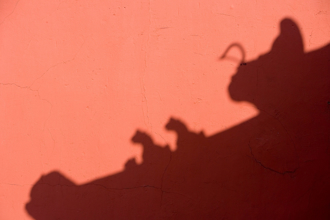 大明最後的警告！魏忠賢臨死遺言 17年後崇禎才懂