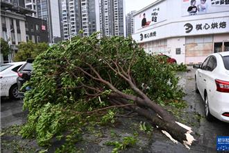 颱風樺加沙挾13級強風登陸廣東 216.5萬人緊急轉移